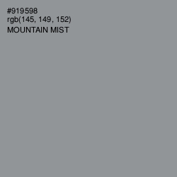 #919598 - Mountain Mist Color Image